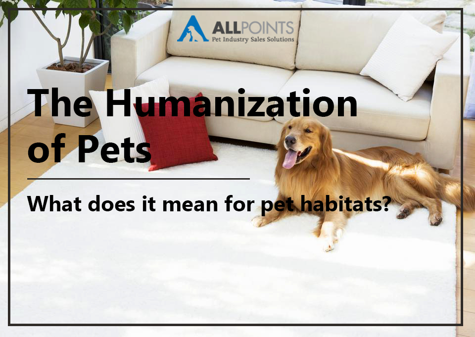 Humanization-pets-habitats