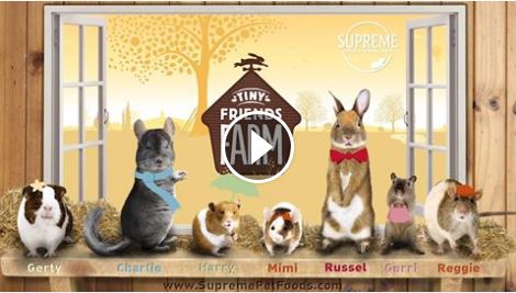 Tiny-Friends-Farm-Video-Supreme